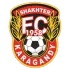 Шахтёр 2006